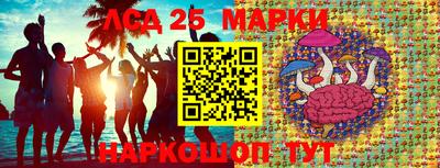 гашик Моздок