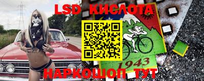 гашик Моздок