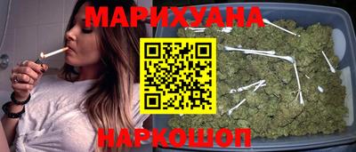 гашик Моздок