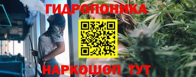 Альфа ПВП Можайск