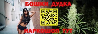 гашик Моздок