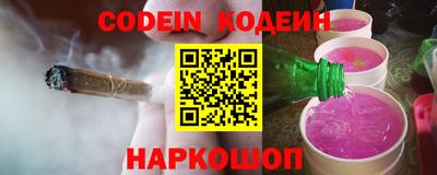 гашик Моздок