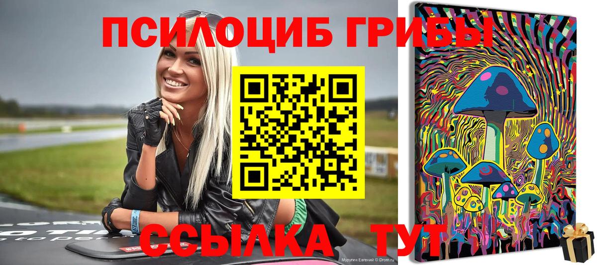 Холмск  Псилоцибиновые грибы GOLDEN TEACHER  Псилоцибиновые грибы MAGIC MUSHROOMS  Вход с VPN 
