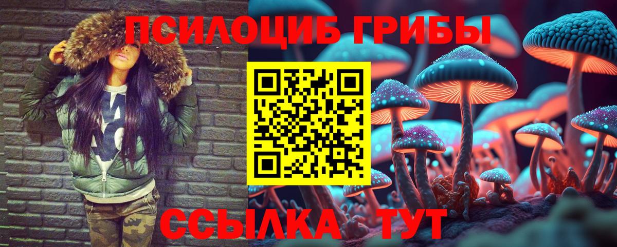 Псилоцибиновые грибы Psilocybe Холмск